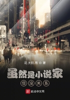 雖然是小說家但沒關系在線閱讀