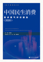 中国民生消费需求景气评价报告（2020）在线阅读