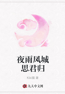 夜雨鳳城思君歸