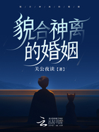貌合神離的婚姻在線閱讀
