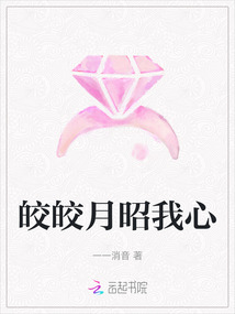 皎皎月昭我心