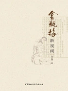 《金瓶梅》新视阈在线阅读