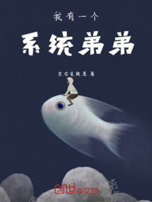 我有一個系統弟弟