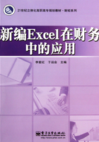 新编Excel在财务中的应用