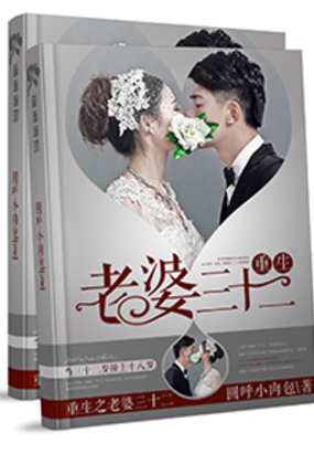 重生之老婆三十二在线阅读