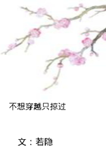 不想穿越只掠過