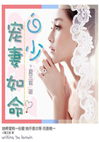 白少,寵妻如命在線閱讀