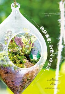 綠蔭滿屋:創(chuàng)意水培生活