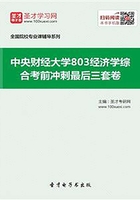 2020年中央财经大学803经济学综合考前冲刺最后三套卷