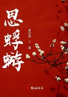 思蜉蝣在線閱讀