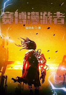 賽博漫游者