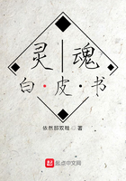 灵魂白皮书在线阅读
