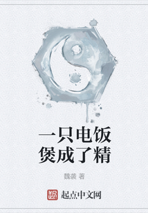 一只電飯煲成了精