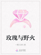 玫瑰与野火在线阅读