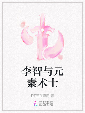 李智与元素术士在线阅读