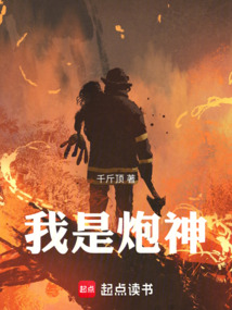 我是炮神 封面