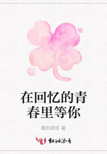 在回憶的青春里等你