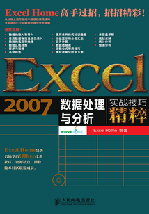 Excel 2007數(shù)據(jù)處理與分析實戰(zhàn)技巧精粹