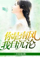 你是南風，我自沉淪在線閱讀