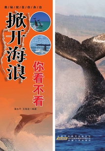 掀開海浪你看不看（奧秘就在你身邊）