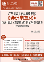 广东省会计从业资格考试《会计电算化》【教材精讲＋真题解析】讲义与视频课程【20小时高清视频】在线阅读