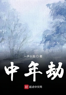 中年劫