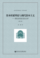 资本积累理论与现代资本主义：理论的和实证的分析（第2版）在线阅读