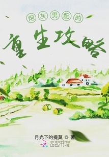 炮灰男配的重生攻略