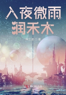 入夜微雨潤禾木