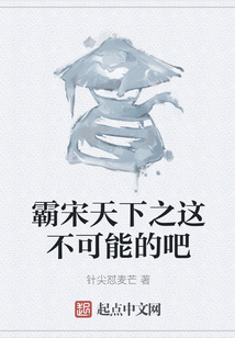 霸宋天下之這不可能的吧