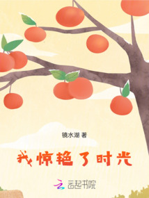 我驚艷了時光