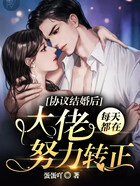 协议结婚后,大佬每天都在努力转正在线阅读