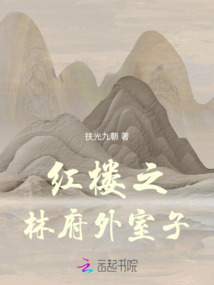 红楼之林府外室子