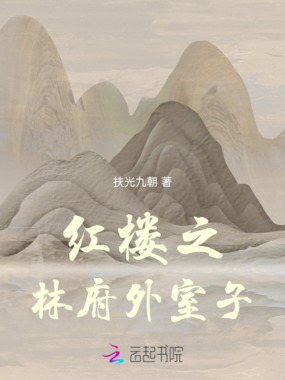 红楼之林府外室子在线阅读
