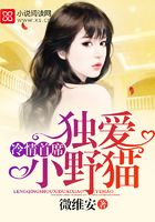 冷情首席獨愛小野貓在線閱讀