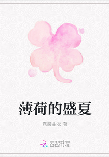 薄荷的盛夏