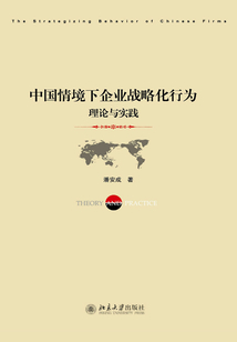 中國情境下企業戰略化行為：理論與實踐