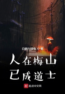 人在梅山已成道士
