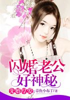 闪婚老公好神秘在线阅读