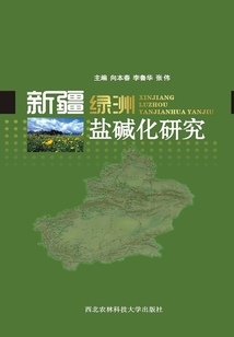 新疆綠洲鹽堿化研究