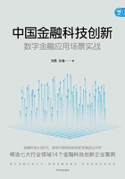 中国金融科技创新：数字金融应用场景实战在线阅读