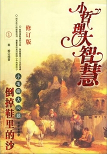 倒掉鞋里的沙:小毛病大問題(修訂版)