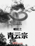 崛起之青云宗在线阅读