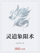 灵道象限术在线阅读