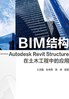 BIM结构：Autodesk Revit Structure在土木工程中的应用