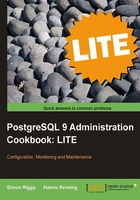 PostgreSQL 9 Administration Cookbook LITE: Configuration, Monitoring and Maintenance在線閱讀