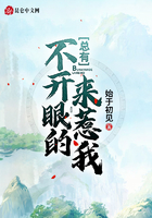 总有不开眼的来惹我