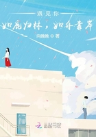 遇见你,如鹿归林,如舟靠岸在线阅读