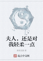 夫人，還是對我輕柔一點在線閱讀
