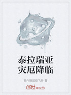 泰拉瑞亚灾厄降临